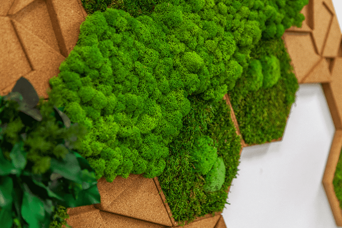 Moss Wall Office