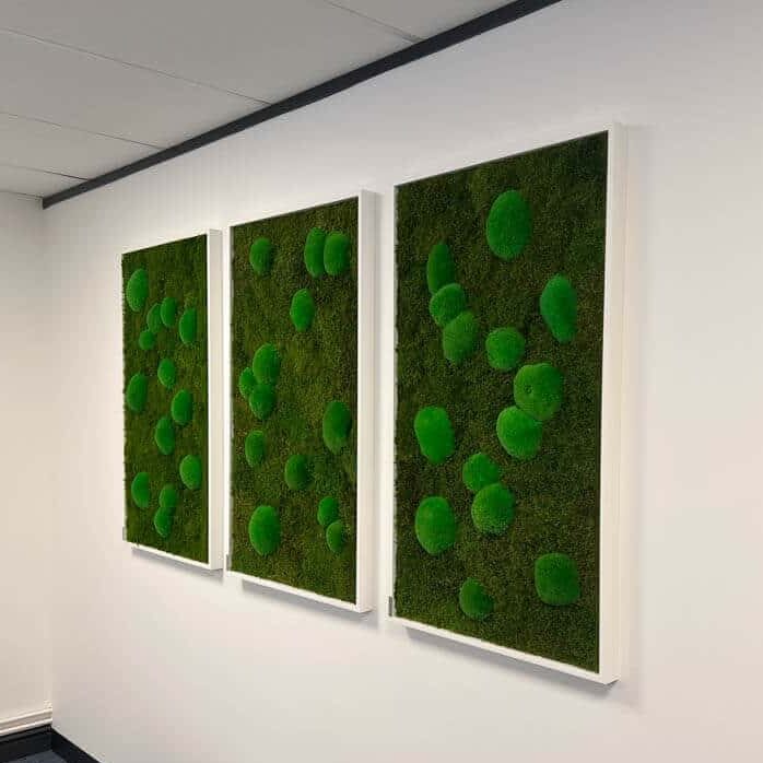 Acoustic Moss Wall
