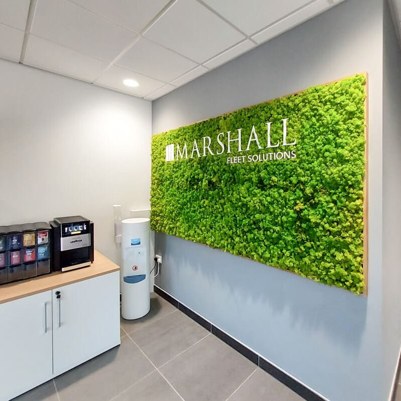 Biophilic Design