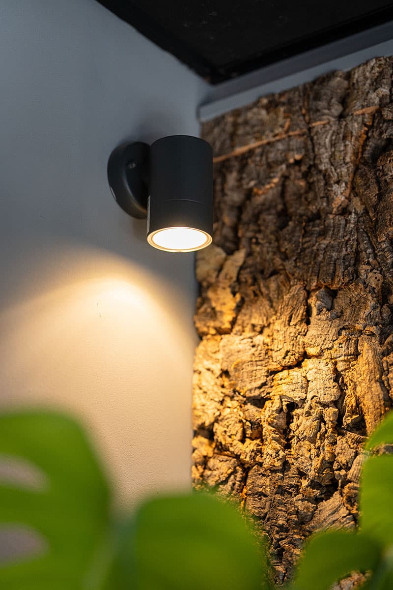Accent Ceiling Lighting