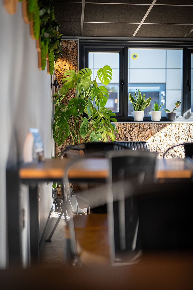 Biophilic Breakout Space