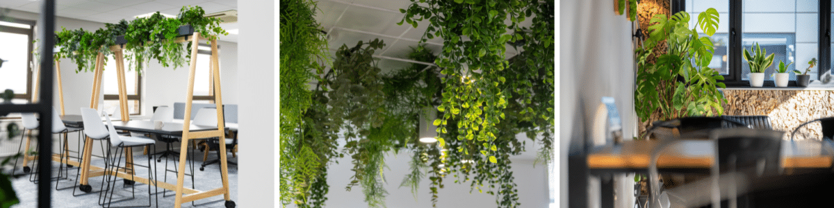 Sustainable Office Design