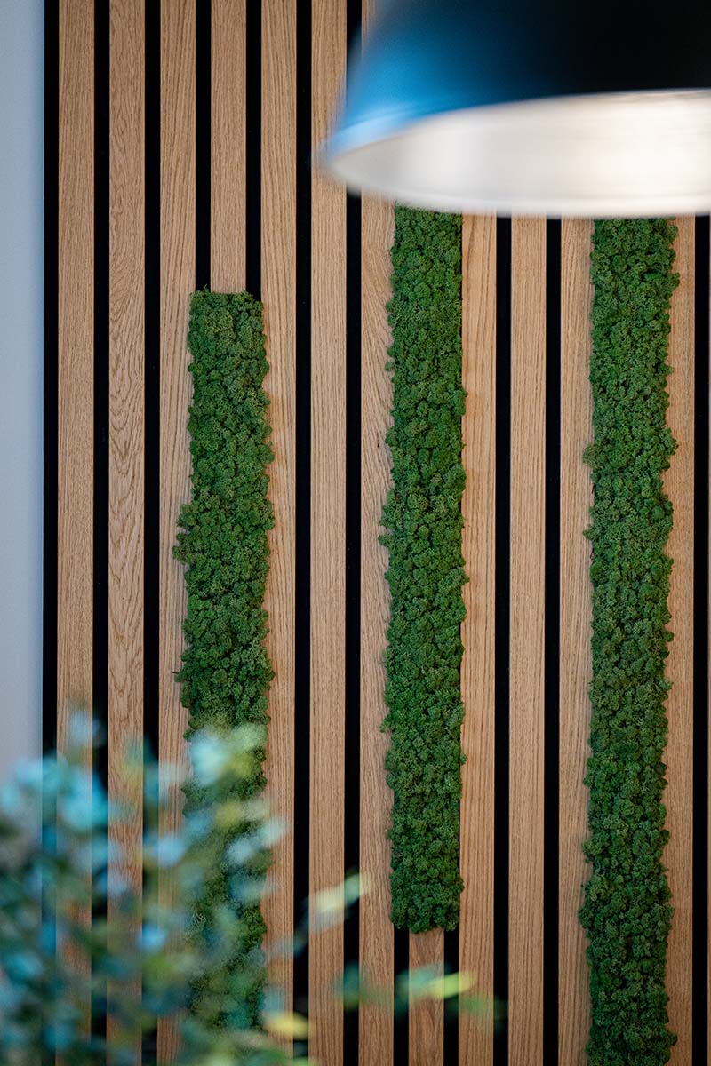Timber Slat Walls